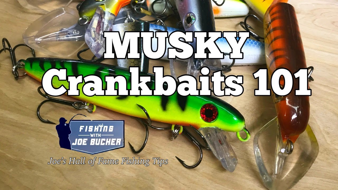 Musky Crankbaits 101