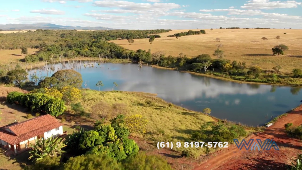 Fazenda à venda em Goiás com 1.579 Hectares (326 Alqueires). Informações (61) 98197-5762