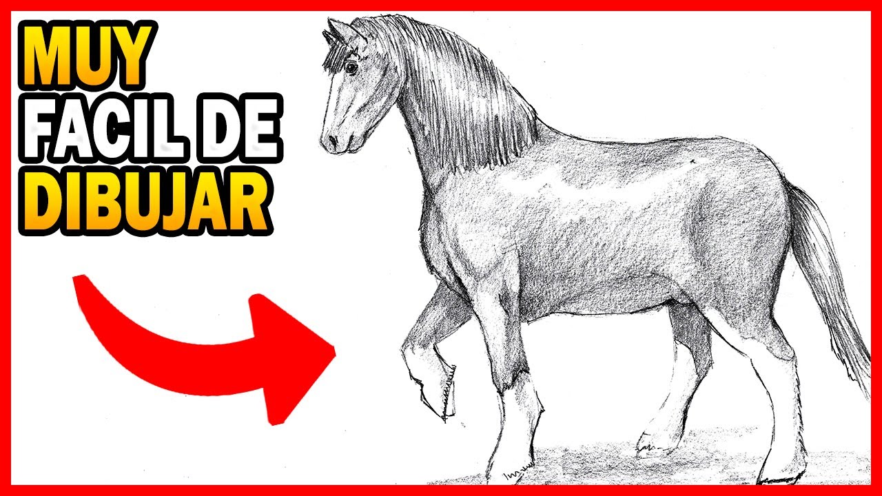 🥇 Como 🅳🅸🅱🆄🅹🅰🆁 un caballo paso a paso facil realista. ✅ como dibujar el cuerpo de un caballo a lápiz