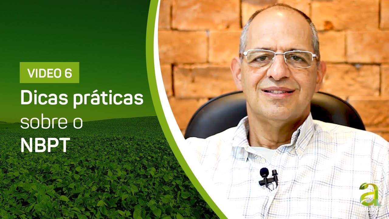 #6 - Dicas pr&aacute;ticas sobre o NBPT