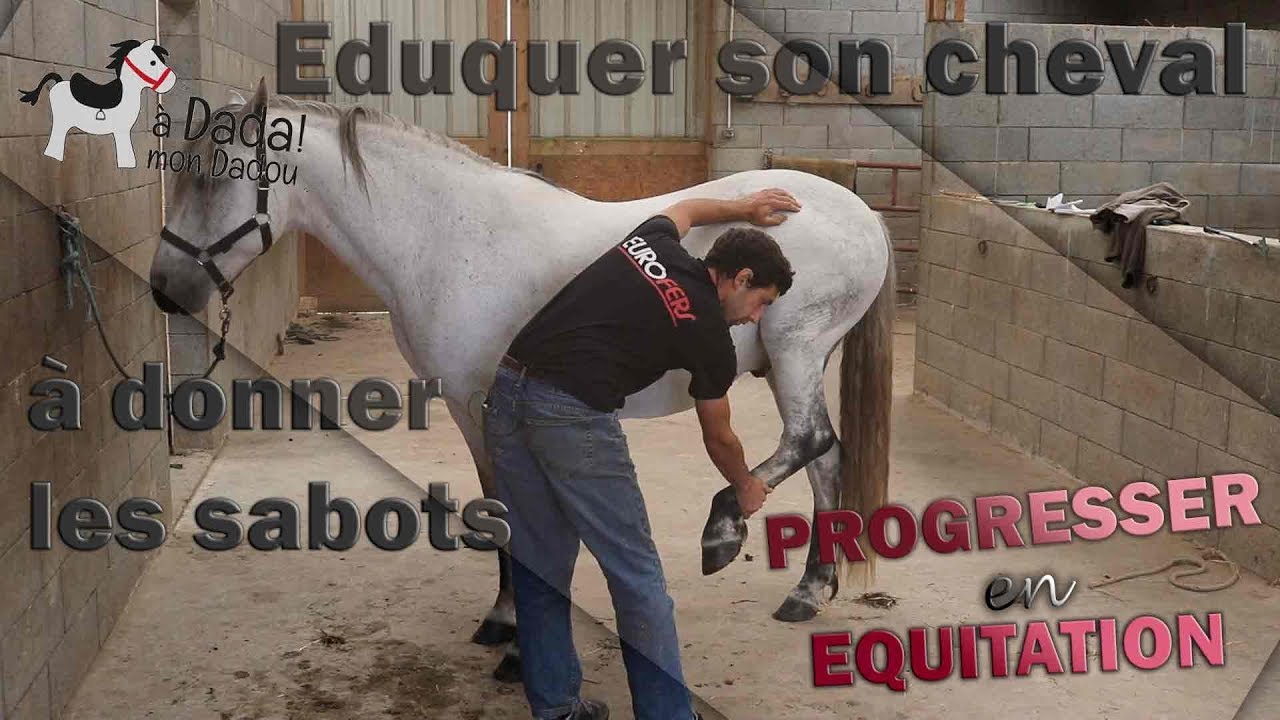 Éduquer son cheval : Donner les sabots en toute sécurité