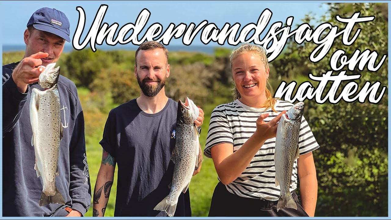 Undervandsjagt om natten - Ørred
