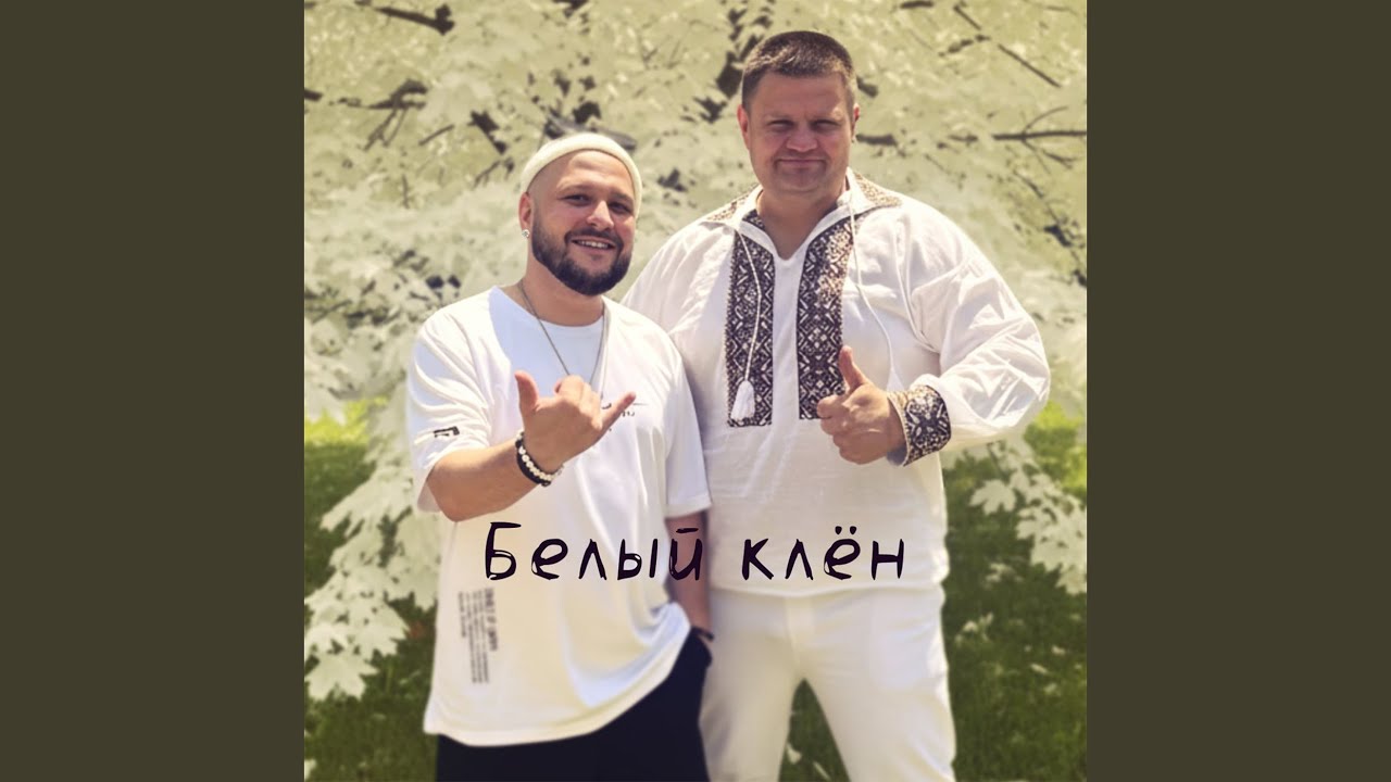 Белый клён