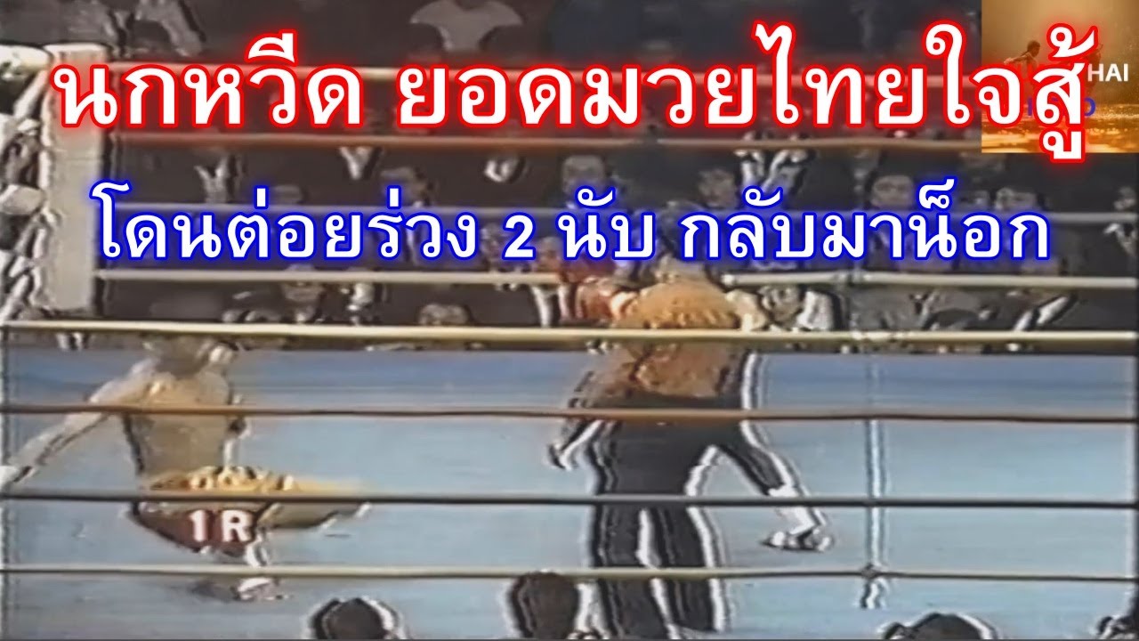 นกหวีด นักมวยไทย โดนต่อยไป 2 นับ ใจไม่ยอมแพ้ พลิกชนะคืนสะใจ