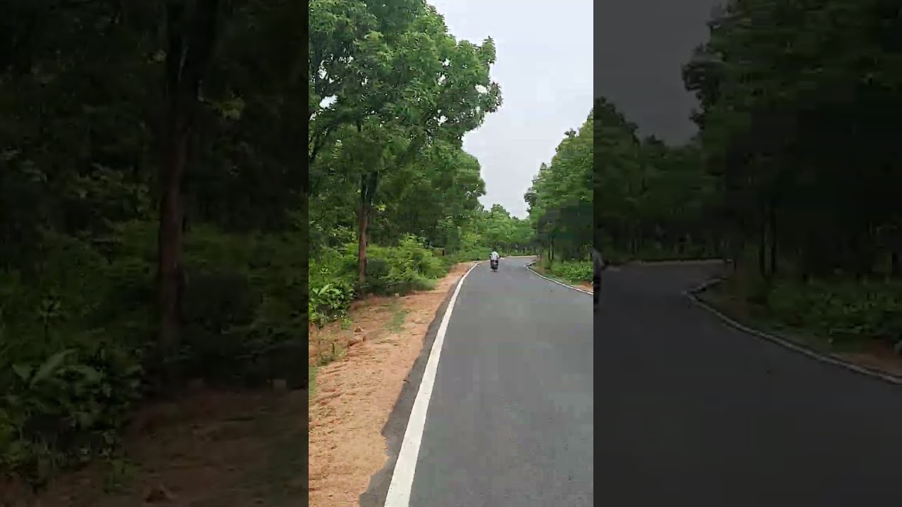 परमानंद के लिए,जीवन के लिए#youtubeshorts#giridihmanch#giridihupdates#saveneture#saveenvironment