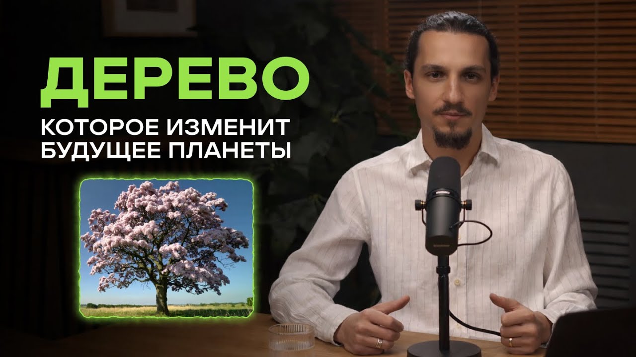 Павловния - растение будущего или экологическая угроза? Зачем инвестировать в павловнию! 