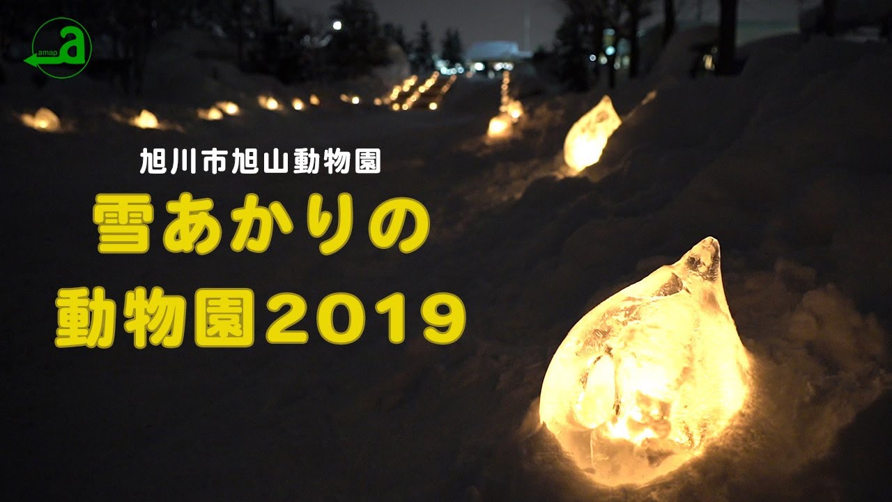 旭川市旭山動物園雪あかりの動物園2019
