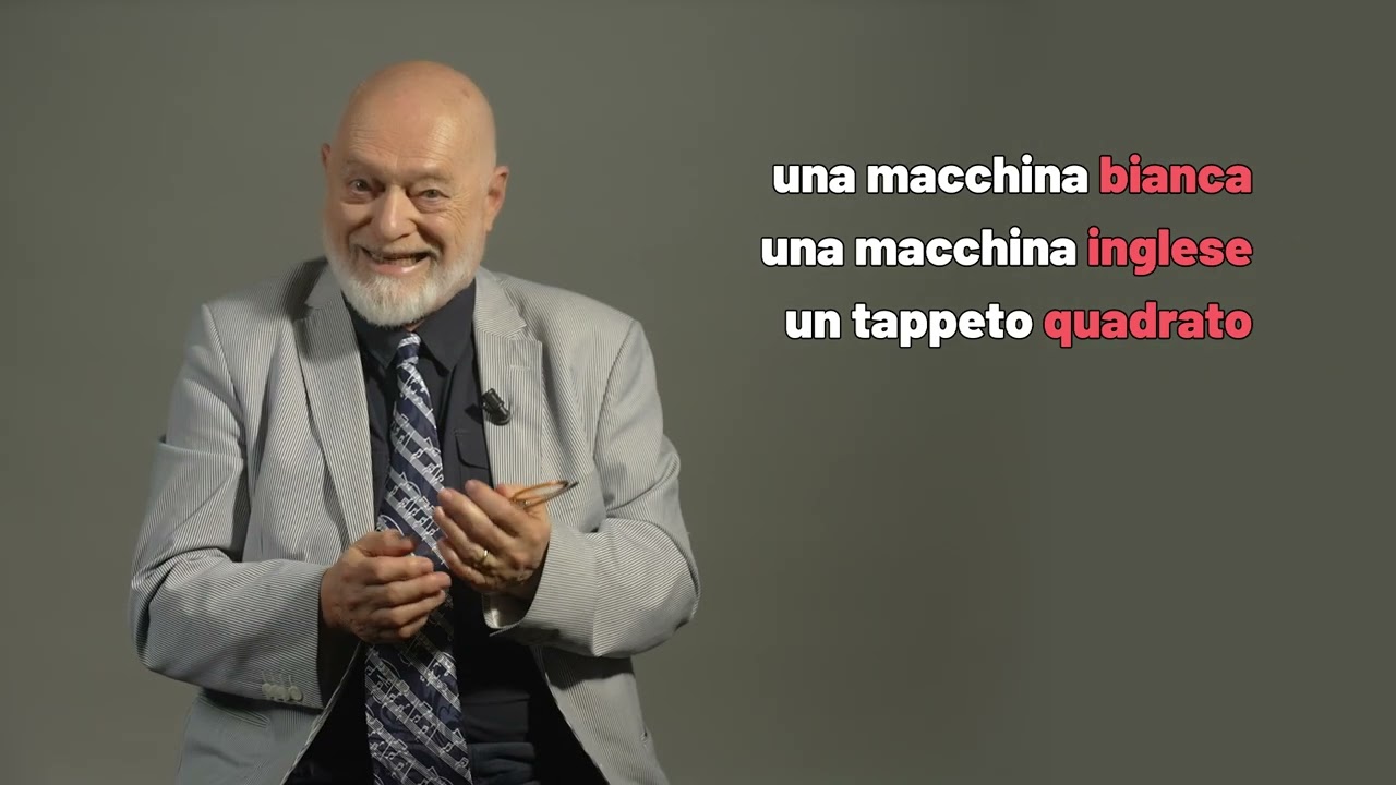 Videogrammatica Più con il prof. Paolo Balboni