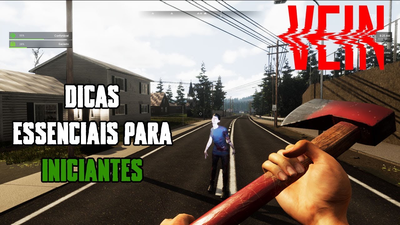 COMECE CERTO NO VEIN! Dicas que TODO Iniciante Precisa Saber...