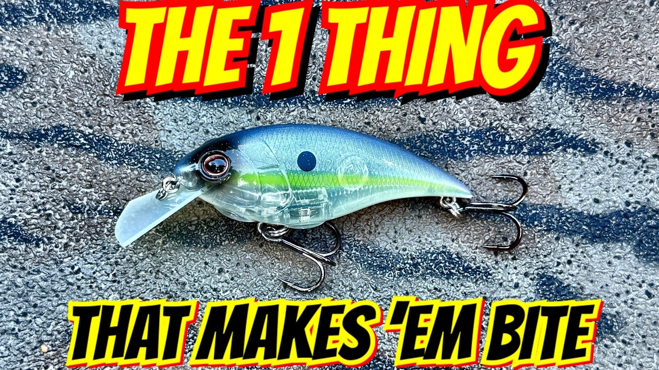The Only 4 Crankbaits I Fish: These Actually Work