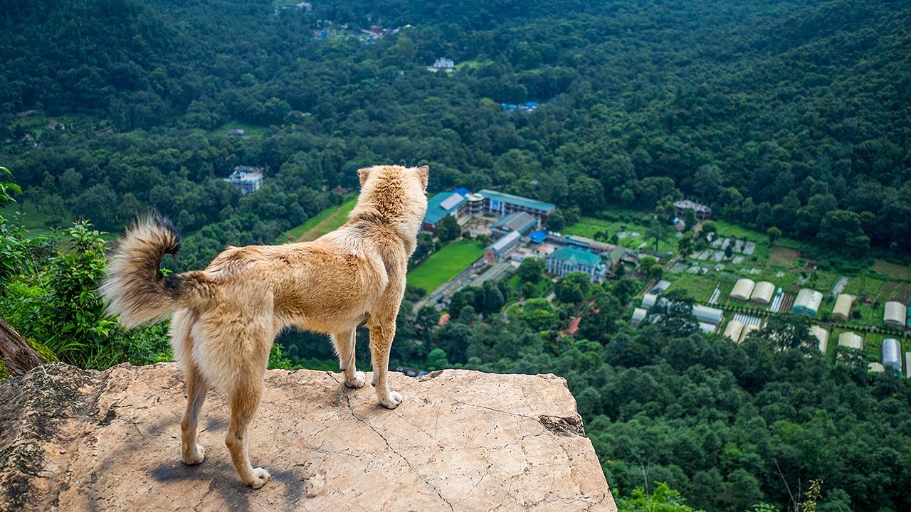 Scenic Viewpoint of Marble Danda | POV Street Photography | Biking