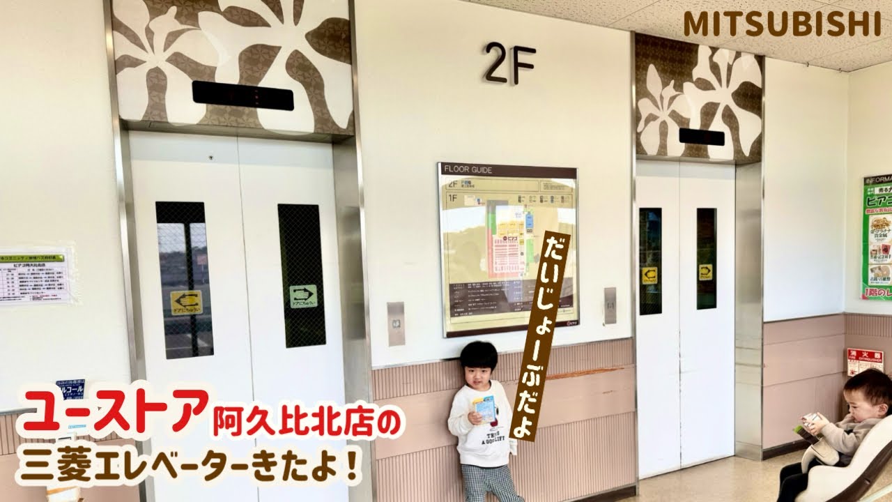 【444日目】ユーストア阿久比北店のエレベーター（三菱製）
