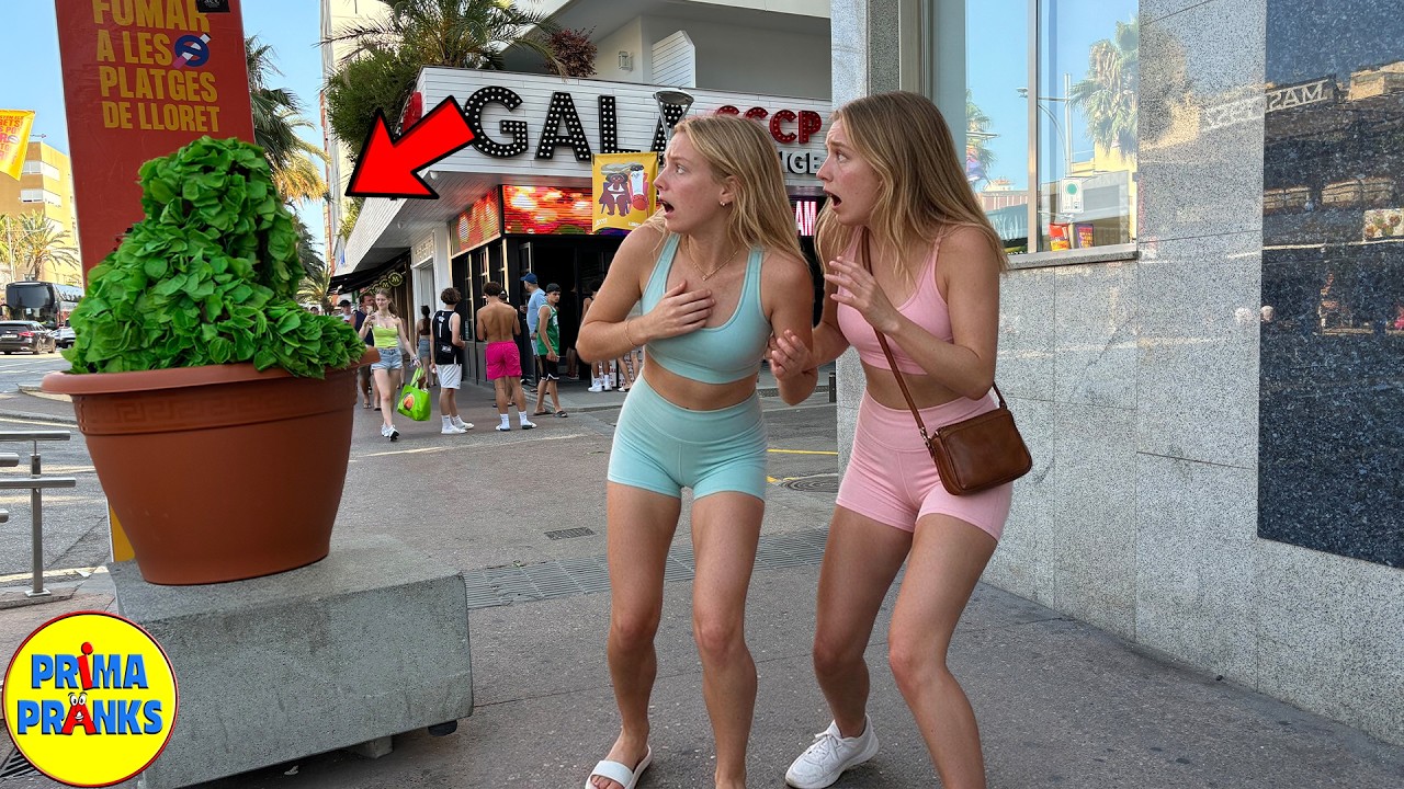 Bushman Prank 2026 New | Ultimate Bushman Prank Compilation | Bushman Funny Prank | Bushman Prank