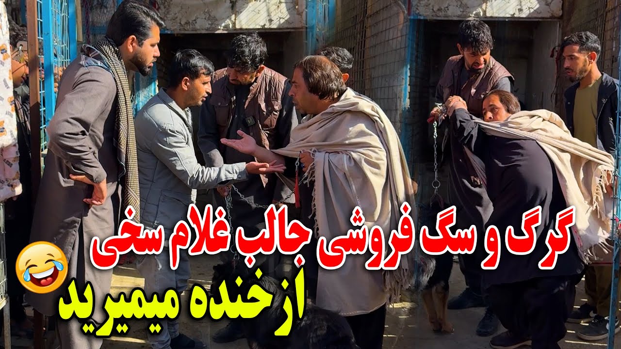 گرگ و سگ فروشی جالب غلام سخی اگر تحمل خنده زیاد را ندارید نبینید😂