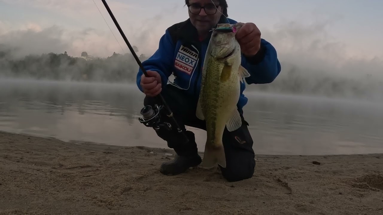 Pesca na superficie com o Fishus Ubuntu 70mm/8,5gr Cor: CP