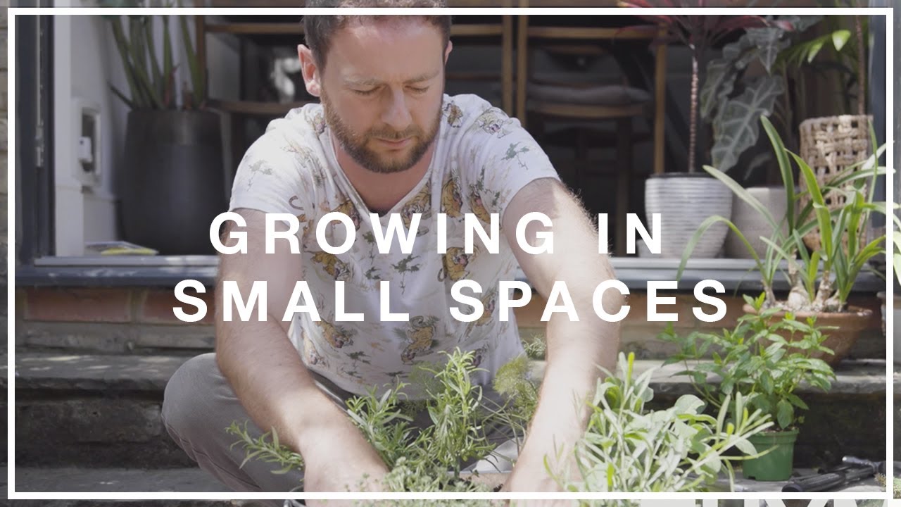 Jack's Guide to Growing In Small Spaces | Hubbub Campaigns