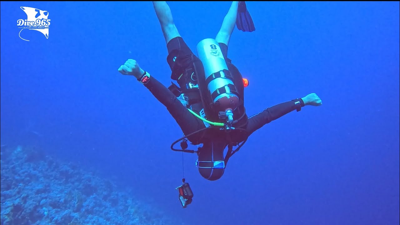 JACKFISH ALLEY - RAS MOHAMMED - EGYPT - WONDERFUL