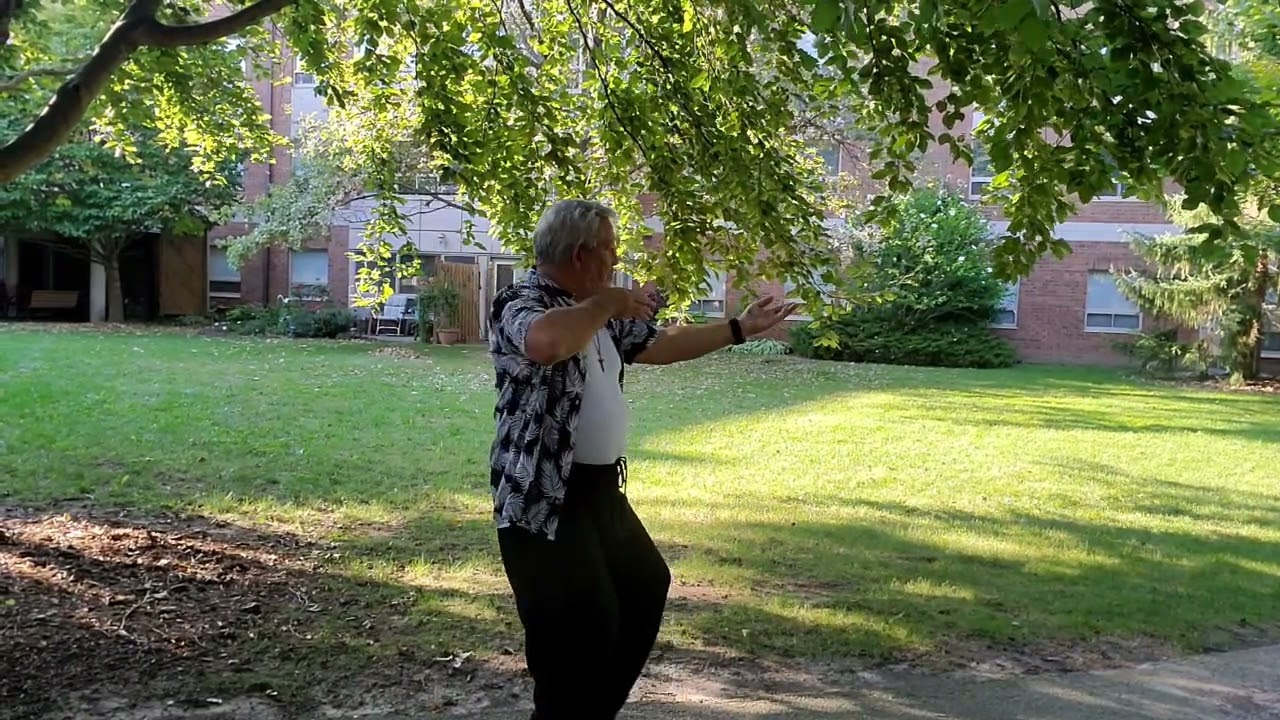 Simplified 24 Posture Tai Chi Chuan Half Set (Front View NOT Mirror Image)