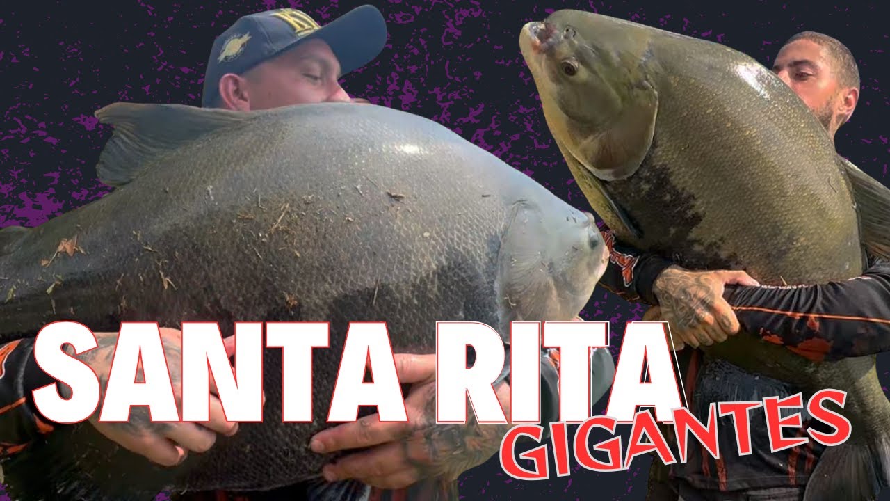 DIA DE GRANDES TAMBAS NO SANTA RITA - FISHINGTUR 1120