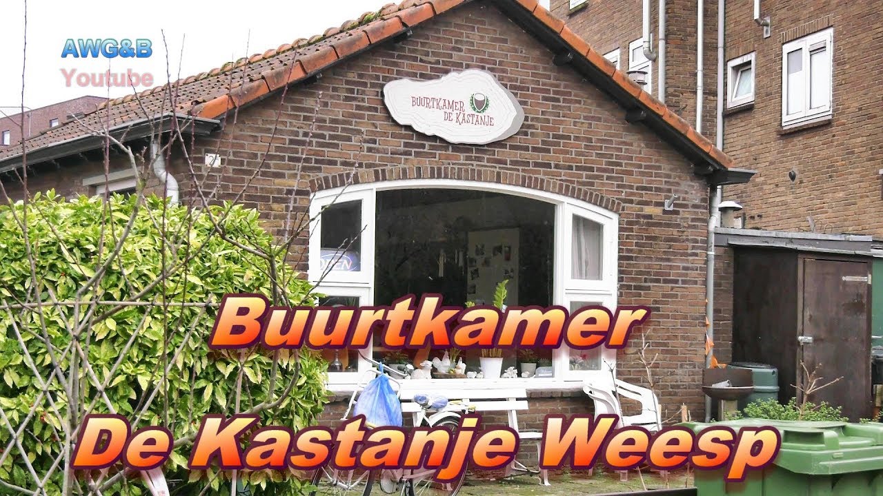 Ouderen met visie en herinneringen  in Buurtkamer de Kastanje Weesp
