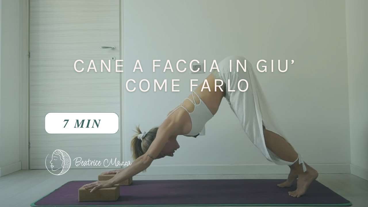 Cane a faccia in giù: come si esegue correttamente