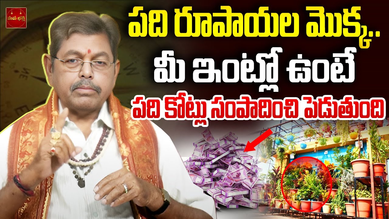 పది రూపాయల మొక్క మీ ఇంట్లో ఉంటే పది కోట్లు సంపాదించి పెడుతుంది |  Home Garden vastu | Vastu Tips |