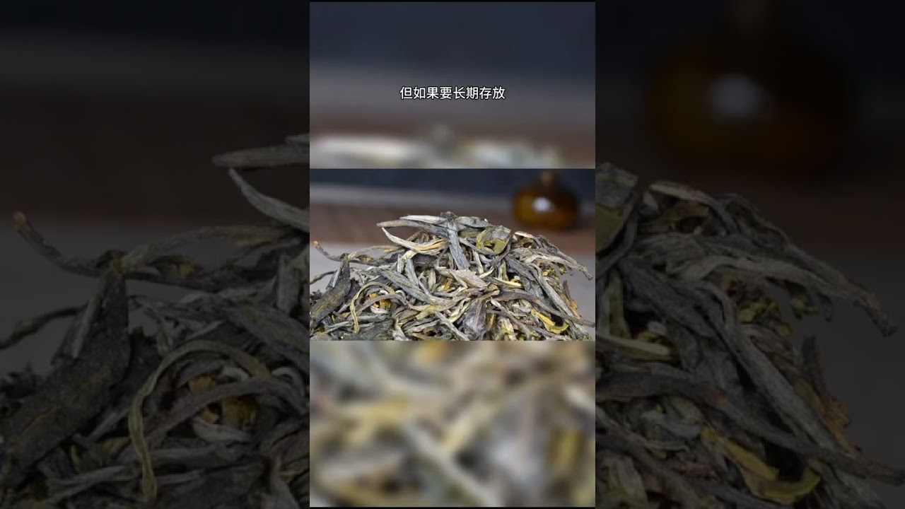 普洱散茶好還是緊壓茶好呢？# 茶知識 # 茶#茶友可以加我wechat:zj4867 #送茶葉壹斤茶具壹套 #普洱茶