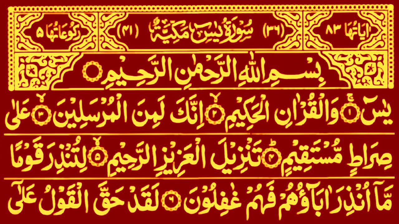 Ramzan 20 Surah Yasin (Yaseen) Beautiful Quran Recitation سورۃ یس