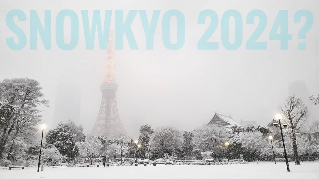 Snow in Tokyo, Japan on Monday, February 5th, 2024 ❄️ #snowkyo