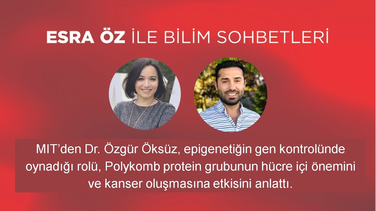 Epigenetiğin gen kontrolünde oynadığı rol nedir? MIT’den Dr. Özgür Öksüz yanıtladı