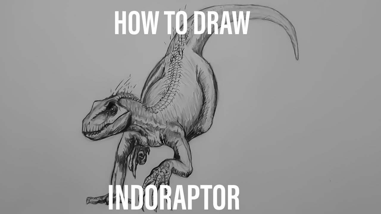 How To Draw The INDORAPTOR!!!