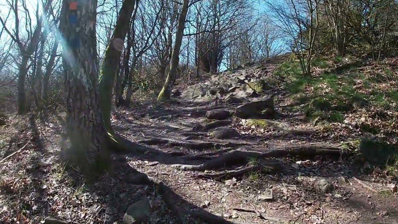 Sk&aring;neleden, SL 5, etapp 3, Sk&auml;ret - Josefinelust,  12 km den 8 april 2019