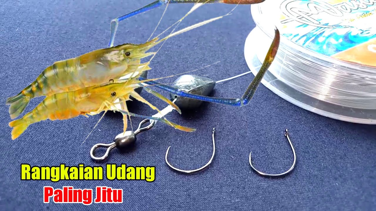 Cara membuat rangkaian pancing udang galah