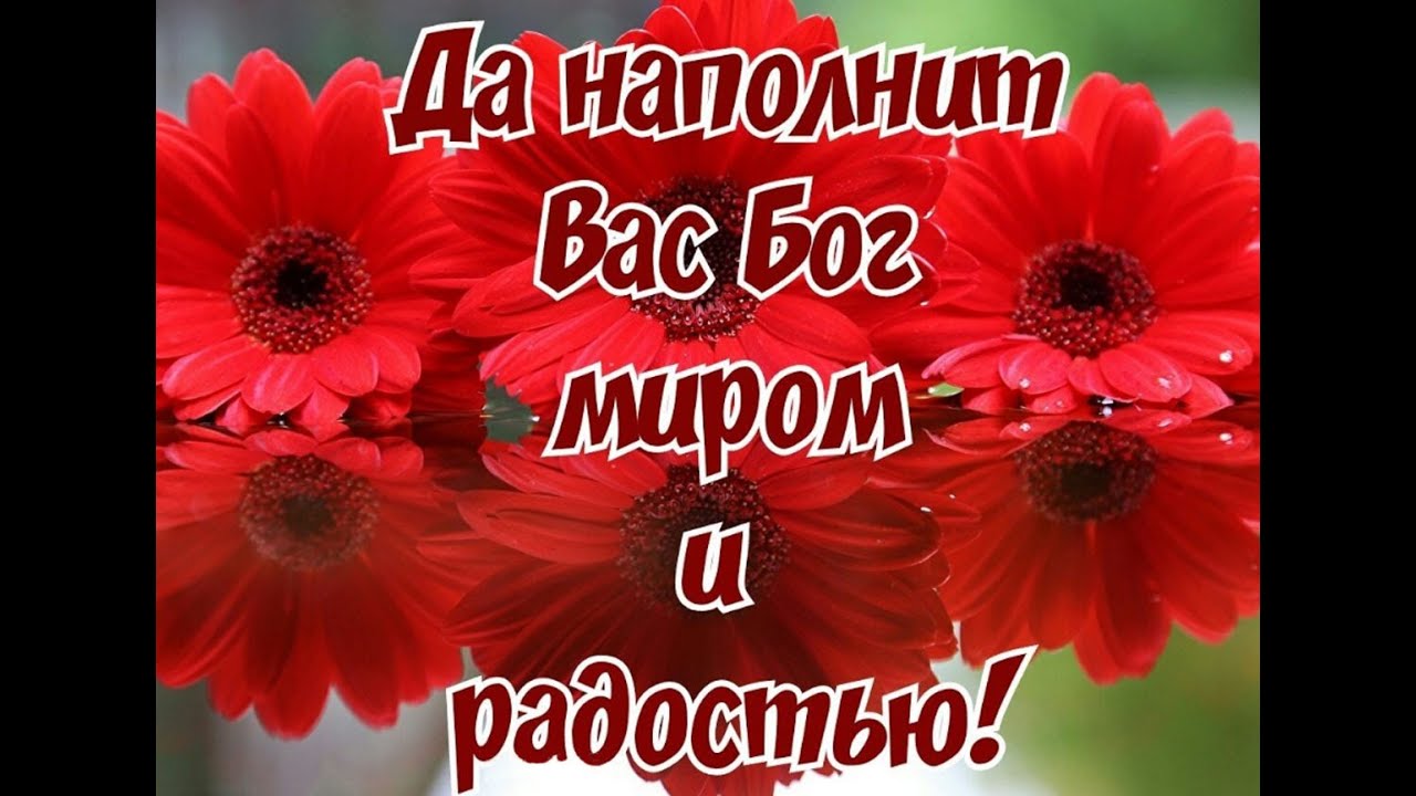 Истнная радость