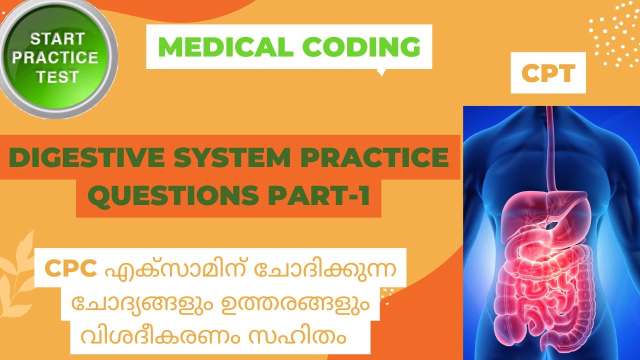 DIGESTIVE SYSTEM PART-1//MEDICAL CODING//CPT//CPC