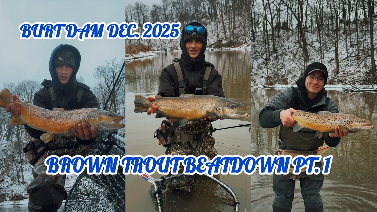 Brown Trout Beatdown! Pt. 1, Burt Dam Dec. 2025