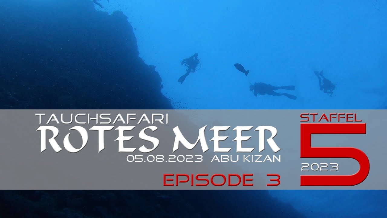 Daedalus, Abu Kizan : Tauchsafari Rotes Meer - Staffel 5 - Episode 3 :  2023 : M/Y Blue