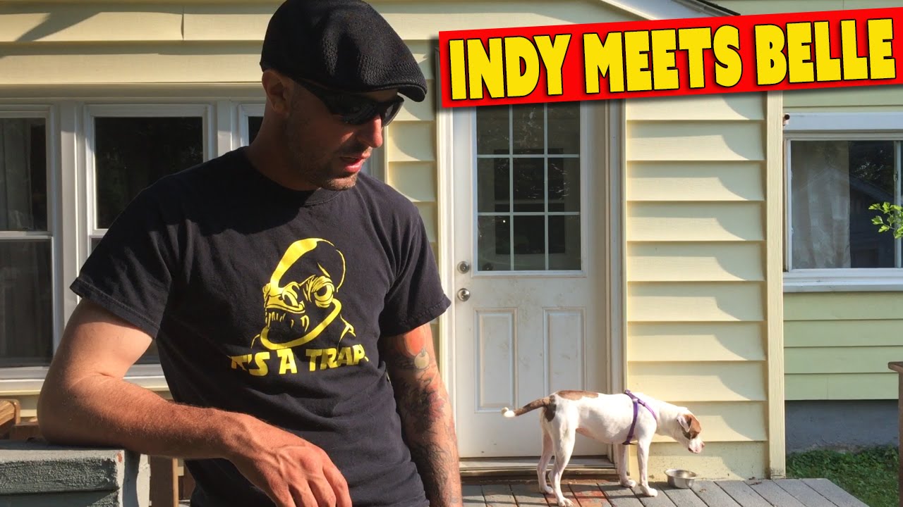 Indys Play Date & Jon Update