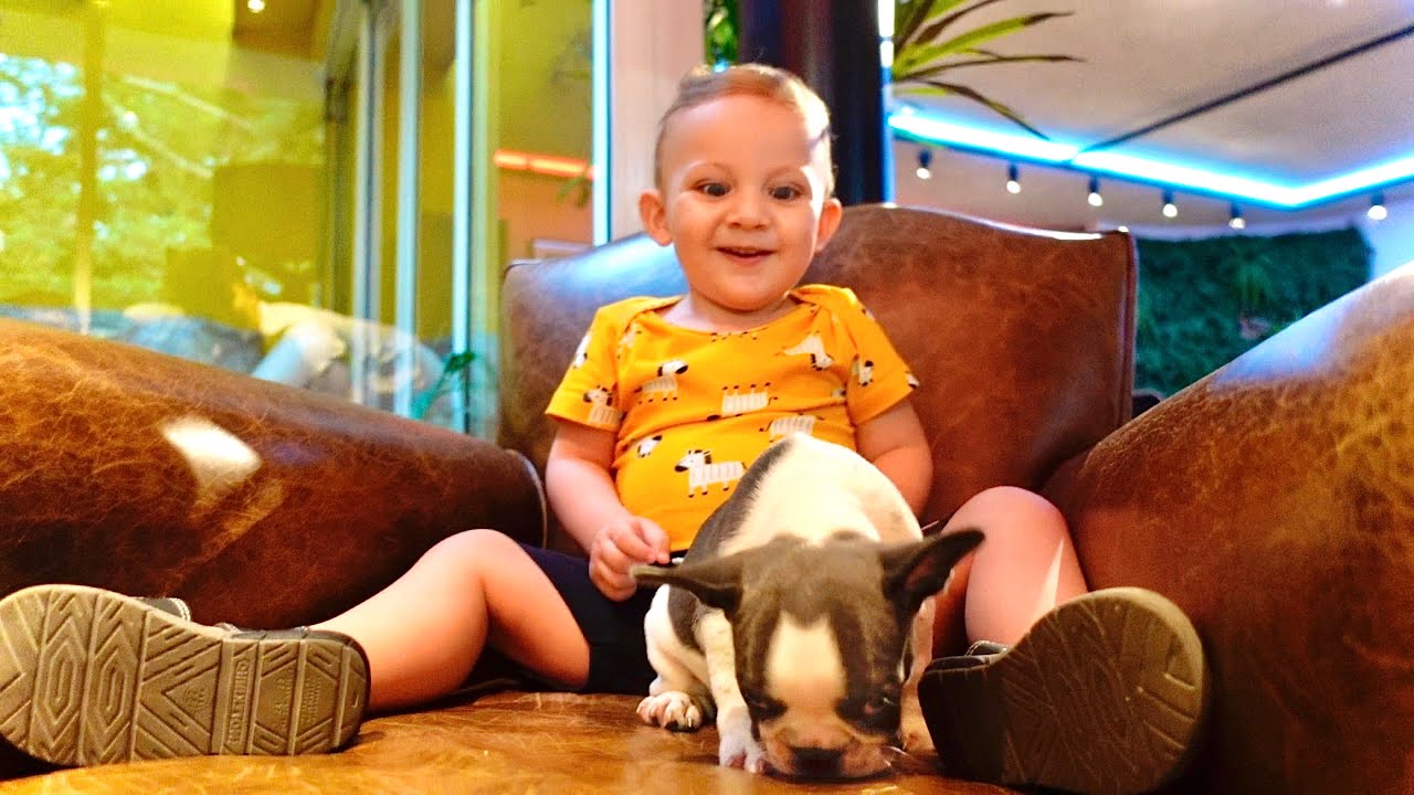 O GAEL GANHOU UM CACHORRO!
