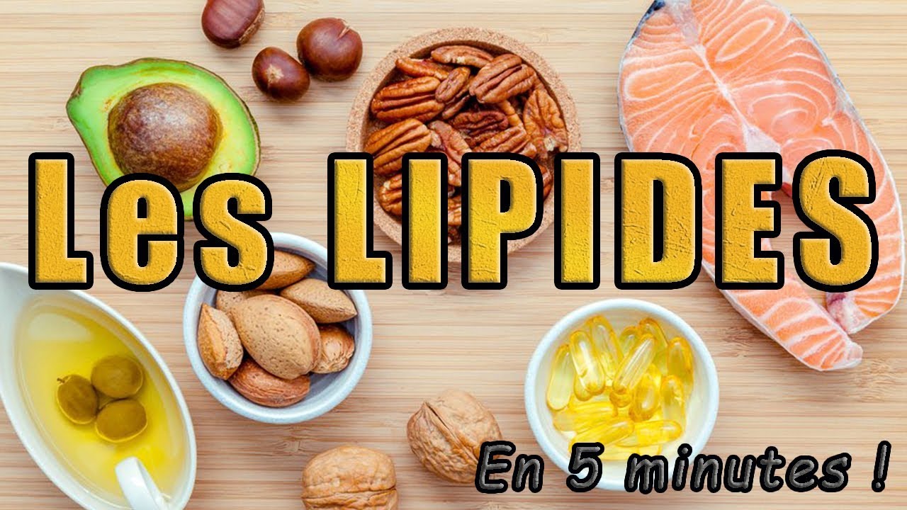 Les LIPIDES (en 5 minutes)