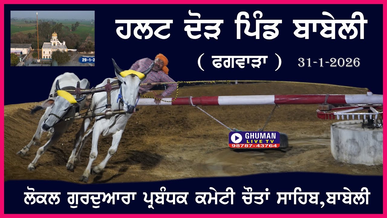 HALT RACE // ਹਲਟ ਦੌੜ // ਪਿੰਡ ਬਾਬੇਲੀ // ਫਗਵਾੜਾ // 31-1-2026