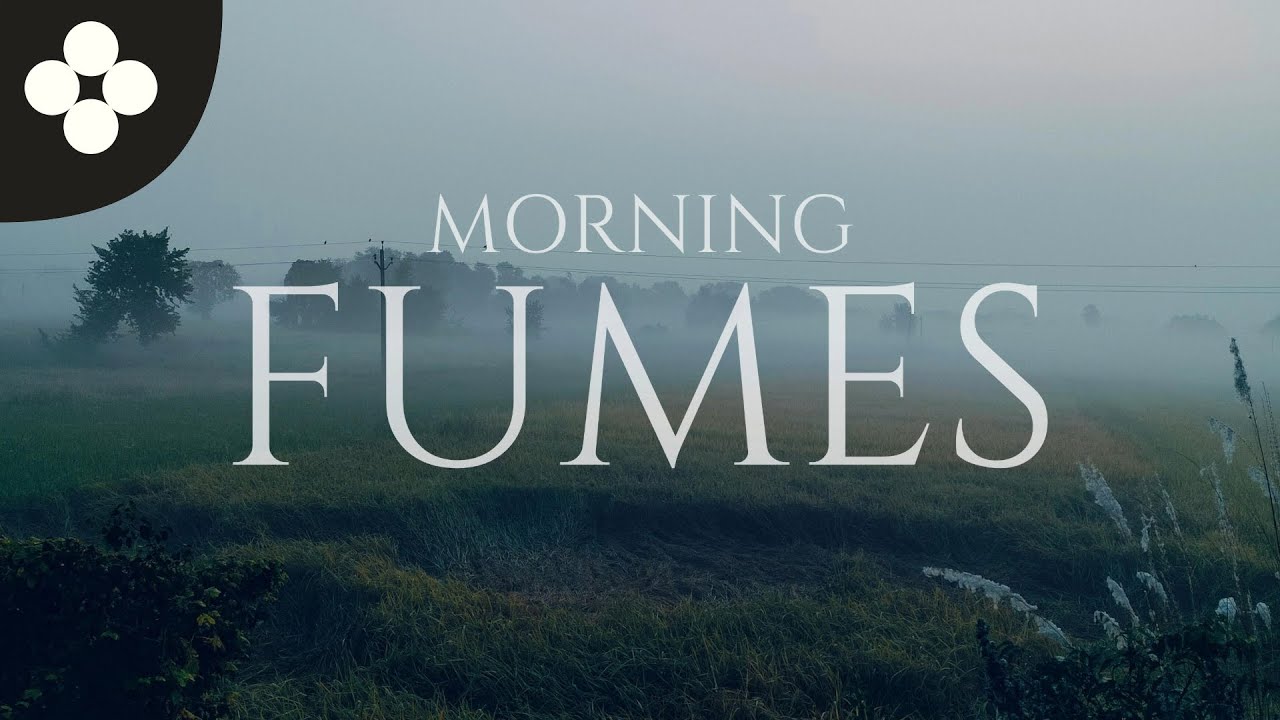 Anna Wood - Morning Fumes