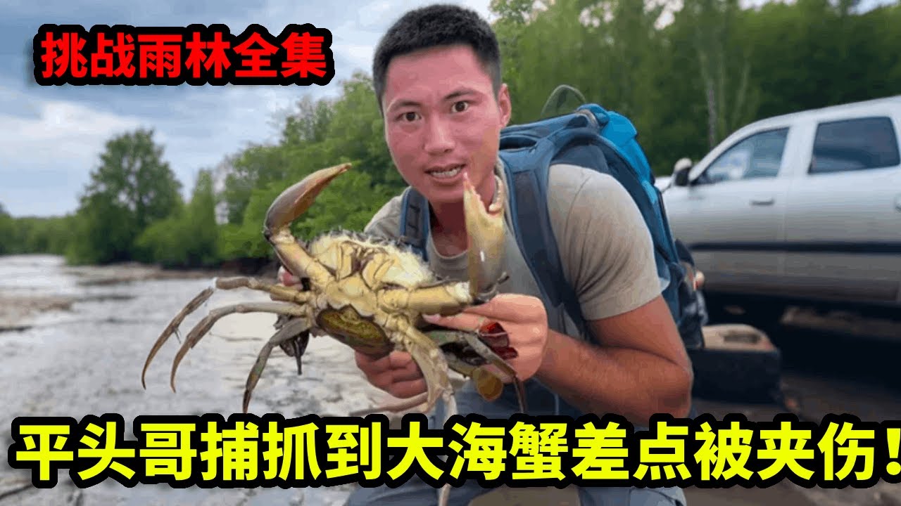 印尼李王岛群岛全集：前往东南亚海岛生存， 利用无人机发现珊瑚礁群，捕抓到大海蟹差夹伤！【户外平头哥】