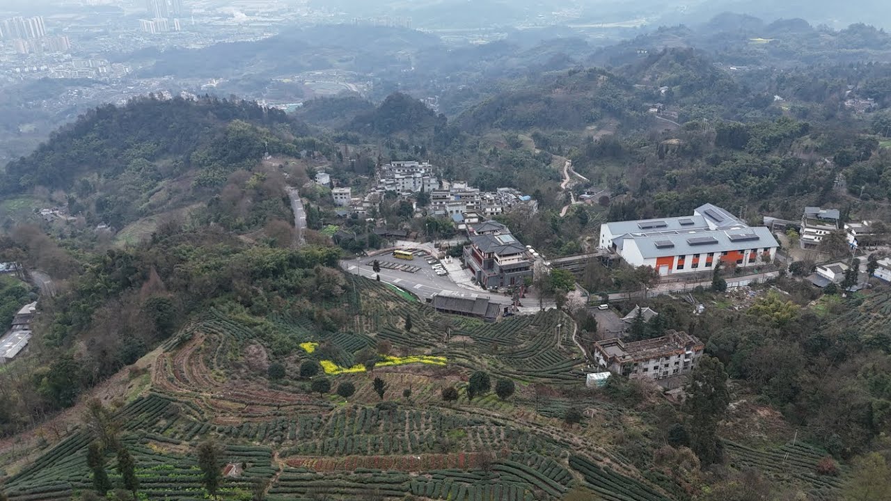 Mengding Shan (蒙頂山)