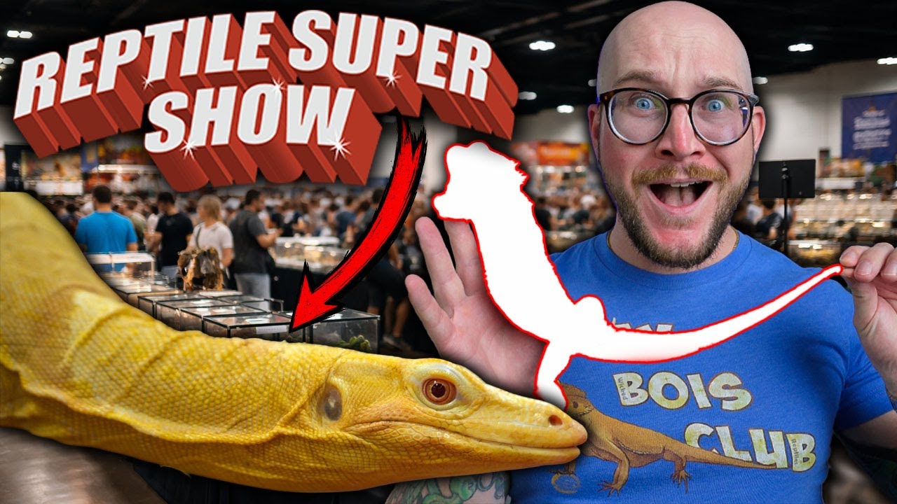 What Happened at The Reptile Super Show?!