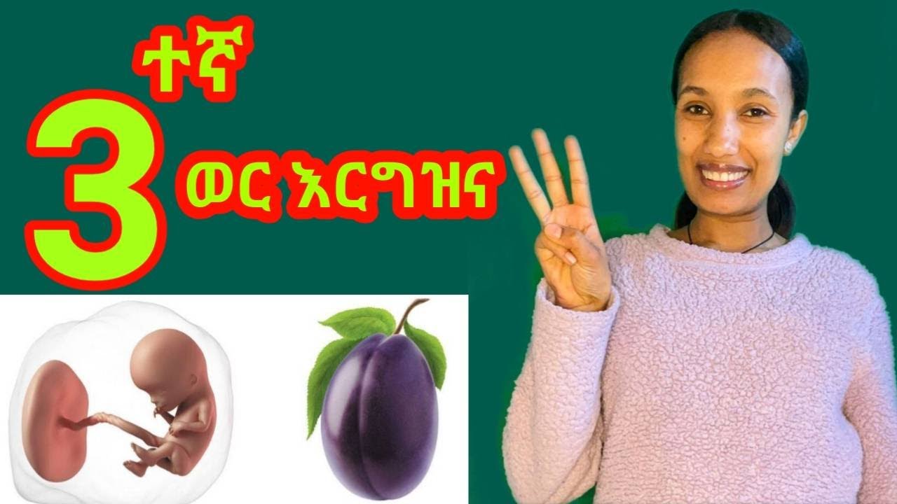 የሶስት ወር እርግዝና/በዚህ ወር እኔ ምን ገጠመኝ? 3 months Pregnacy @seifuonebs @donkeytube.eshetumelese @derenews9281