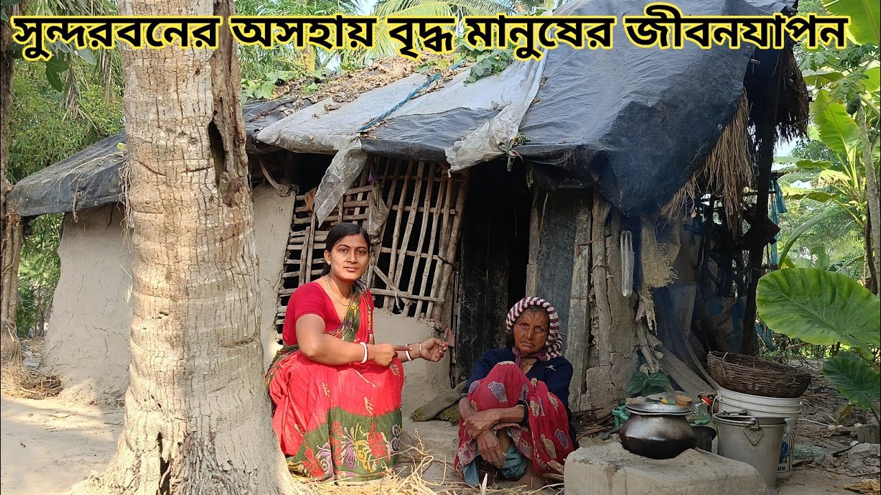 সুন্দরবনের অসহায় মানুষের জীবনযাপন || Nandita Sundarban life