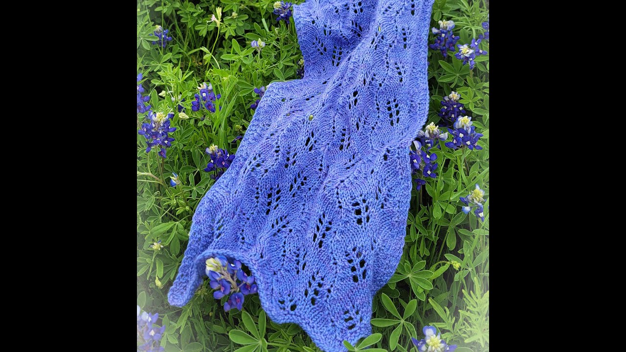 Bluebonnet Fields Introduction