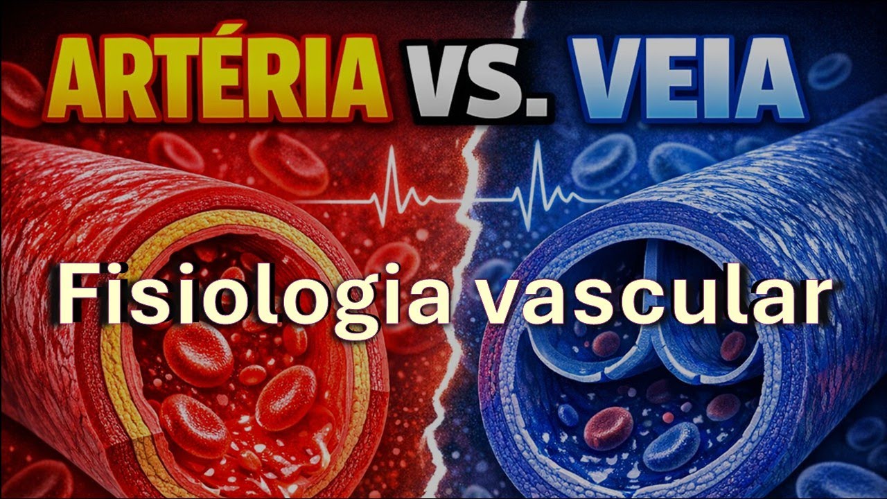 FISIOLOGIA VASCULAR