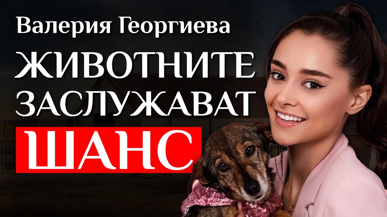Истината за бездомните животни в България - разговор с Валерия Георгиева